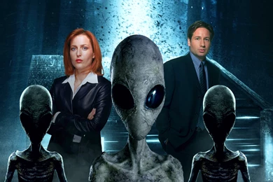 The xfiles wallpapers469335.png Wallpapers Send!