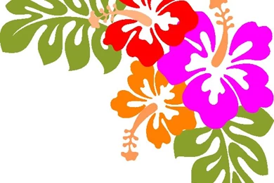 Luau Wallpapers   Cliparts.co