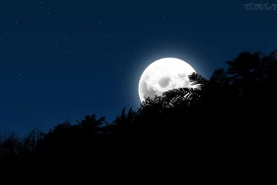 Wallpapers Luau Papel De Parede Lua Cheia 1366x768