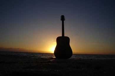 The Perfect Spring Break Playlist