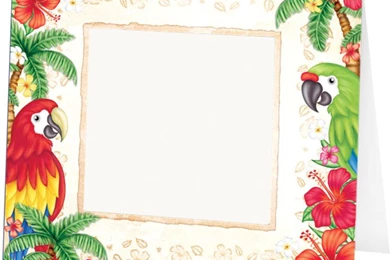 Full Color High Quality Cardstock Polaroid Frames