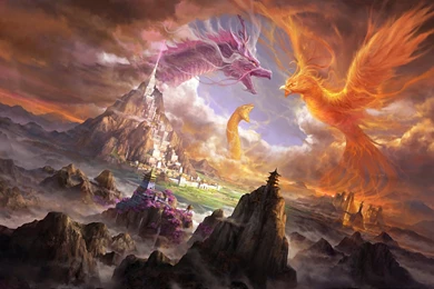 797 Dragon HD Wallpapers
