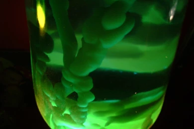 Free 1500 Screensaver: Lamp Lava Screensaver