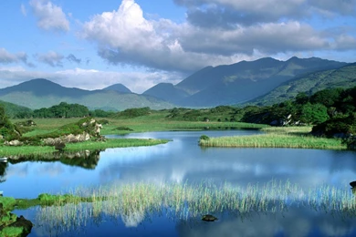 Irish Republic” Or Republic Of Ireland – Alzcenlexz