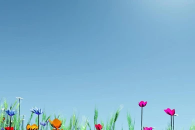 Bright Flowers In Spring Wallpapers   (