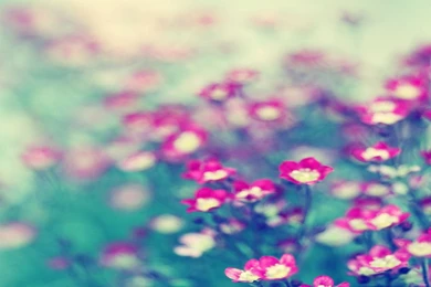 Awesome Dual Monitor Wallpapers