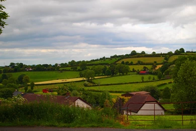 Rainy Green Irish Countryside   A Photo On Flickriver