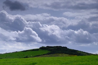 Beautiful Green Fi3LD Wallpapers ~ Cool Wallpapers