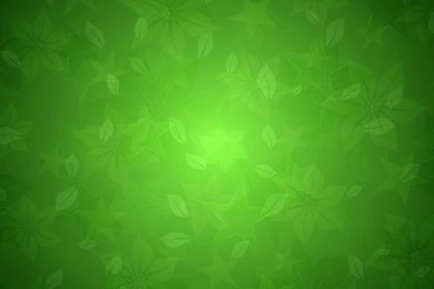 High Resolution Green Wallpapers Full Size   SiWallpaperHD 13595
