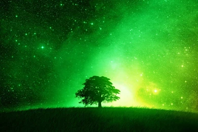 Green Wallpapers Collection (33+)