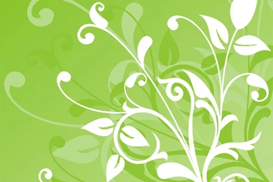 White Green Wallpapers All Wallpapers New