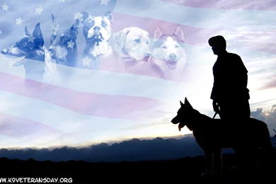 DeviantArt: More Like Commission   K9 Vets Wallpapers By MauserGirl