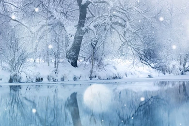 Winter Snowfall HD Desktop Wallpapers : High Definition : Mobile ...