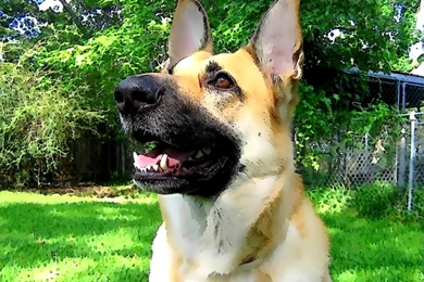 VK09 Compo1 Computer Wallpapers, Desktop Backgrounds