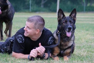 Wounded Anaheim Police K 9 Bruno Is 'Protector' For Partner's ...