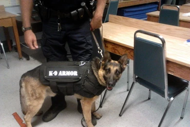 K9 ARMOR Accepts Donations To Give FREE Bulletproof Vests To CA ...
