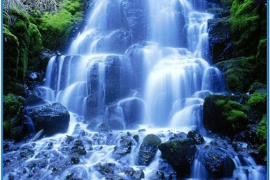 Moving Screensavers On Pinterest