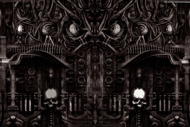 Desktop Black Lion Hd Wallpapers Download