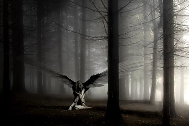 Fallen Dark Angel HD Wallpapers Wallpapers