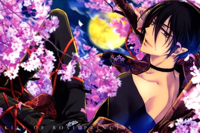 13 Barajou No Kiss HD Wallpapers