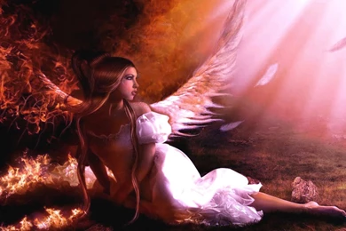 Funny wallpaper and images 61 45167 Desktop Wallpapers