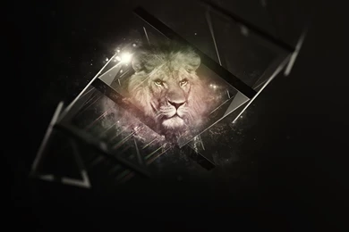 1366x768 Black, Lion, Backgrounds Wallpapers And Pictures 76666