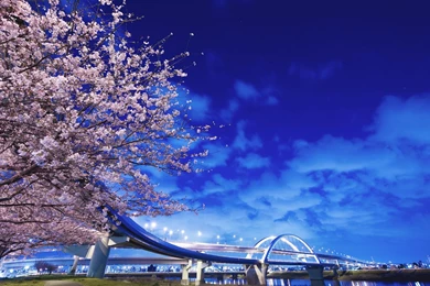 Wallpapers For Screen   Wallpapers Zone