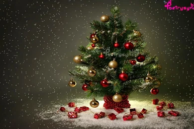 Merry Christmas And Happy Holidays Wallpapers Wishes Pictures With ...