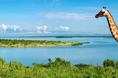 Screen Wallpaper Images Widescreen   Fullwidehd.com