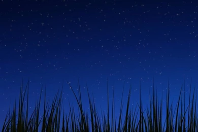 Nexus PC Wallpapers   Wallpapers Cave