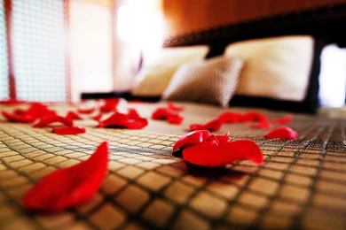 Valentine Day Hd Wallpapers & Hd Pictures   HD Good Evening Images ...