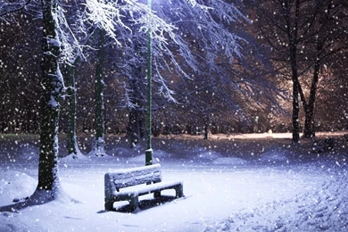 Light Landscapes Nature Winter Snow Bench Parks Snowfall Wallpapers ...