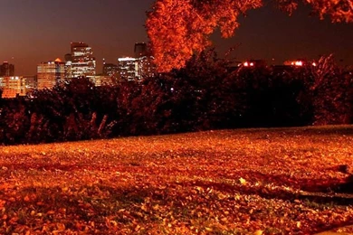 HD Landscape Wallpaper, iPhone Wallpaper, Iphone 4 Backgrounds ...