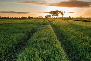 Free Download 40+ Bangladesh Wallpapers In High Def: What Lies ...