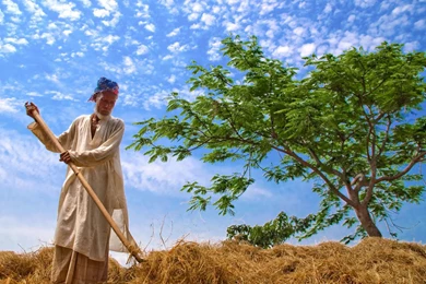 Bangladesh Wallpaper 8.jpg