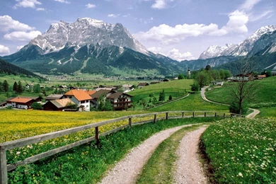 Desktop Bangladesh Fruits Images Wallpapers