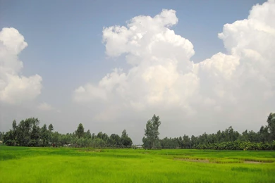 Village Shanto   Bangladesh Wallpapers (36259363)   Fanpop