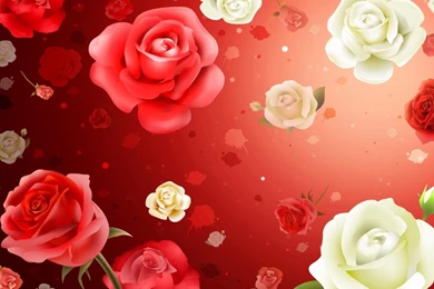 Beautiful Wallpapers Download Collection (43+)