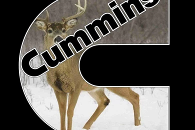 Alfa Img Showing > Dodge Cummins Logo Wallpapers