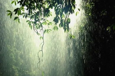 Rain Quotes And Wallpapers The Wondrous Pics