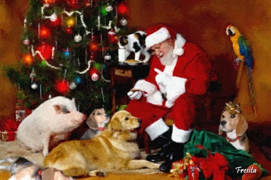 Christmas Pictures With Dogs   Christmas