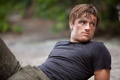 Fantastic Josh Hutcherson Wallpapers