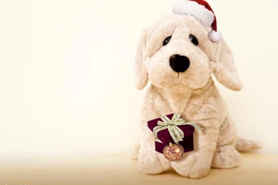 Christmas Dog Teddy   Teddybear64 Wallpapers (17406044)   Fanpop