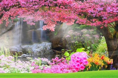 Vinyl Photography Backdrop Custom Photo Prop Peach Blossom And ...