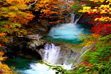 Sunsets: AUTUMN FOREST FALLS Nature Background Images For High ...