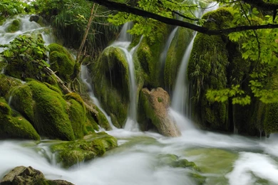 Feedyourdesktop.com Desktop Backgrounds