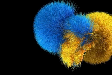 Download Wallpapers 1920x1080 Fluffy, Lumps, Blue, Yellow Full HD ...