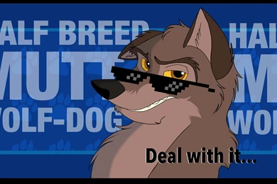 Balto's Message To Other Dogs By JennROSS101 On DeviantArt