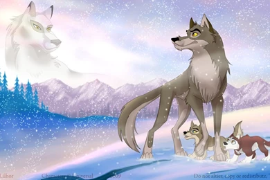 511892 Balto Wallpapers