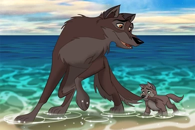 Wallpapers Balto Cartoons Image